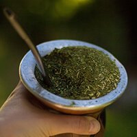 Yerba Mate